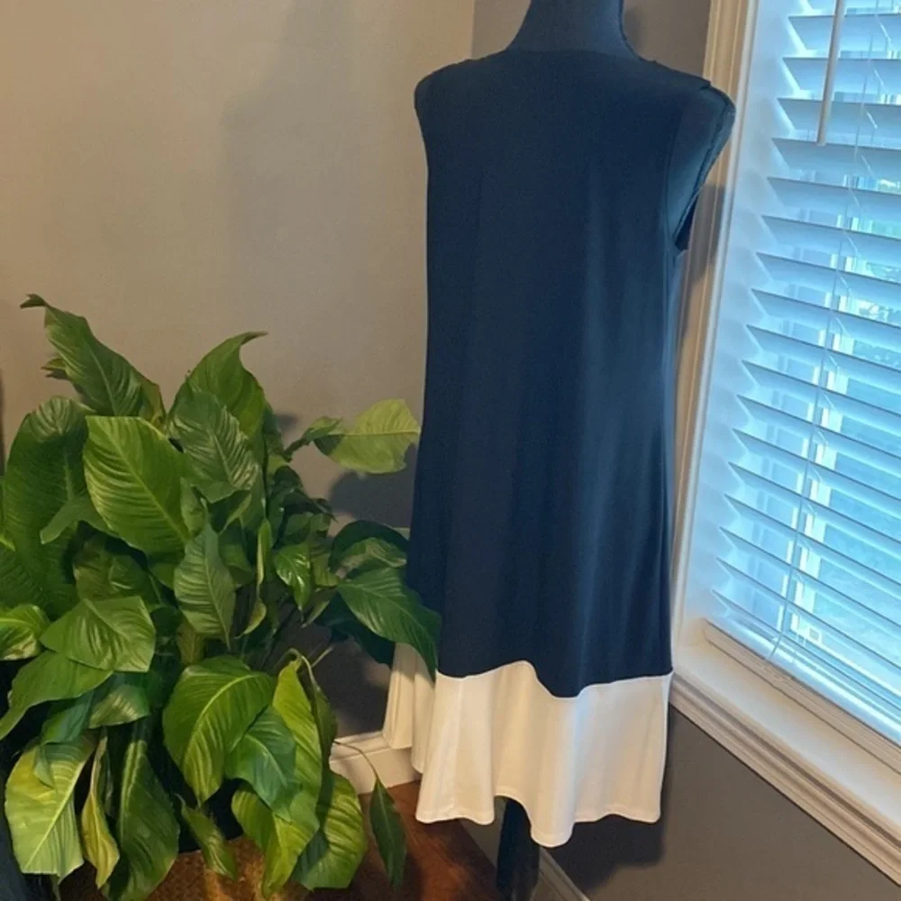 🤍🖤”ANNALEE + HOPE” Color Block Dress - Picture 4 of 5